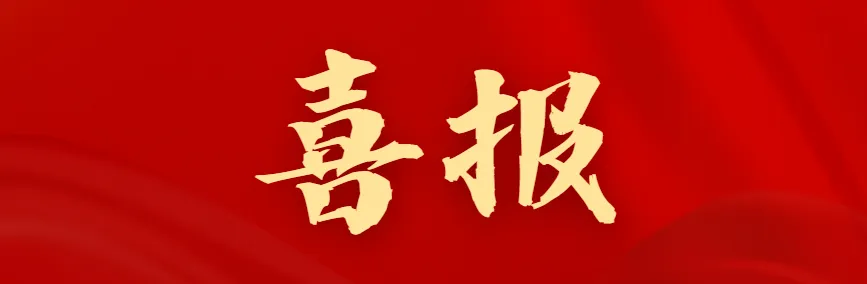 喜报|2024年福建省数独公开赛获奖名单